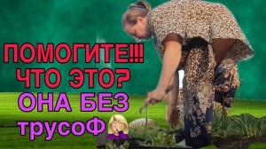 ТРУЛИ ВЕТРОМ СДУЛО? ОЛЬГА ИЗ ЗАУРАЛЬЯ. ОБЗОР.