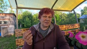 📌 Скорая помощь РАСТЕНИЯМ в любую погоду!!