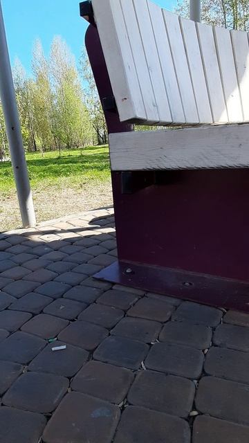 Корги Булочка и мопс Тичь, знакомство. Тичь оказался скромным парнем #корги #собака #corgi #мопс Pug
