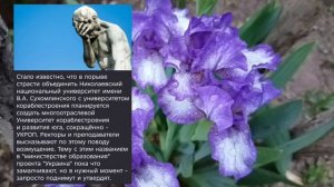 Николаев 31 мая 2026 года (новости)