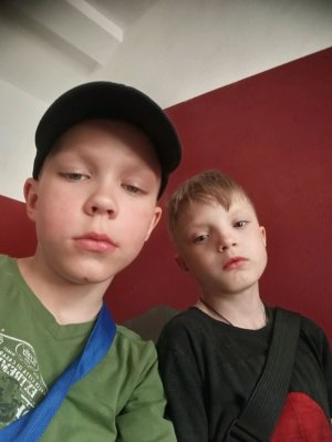 вини