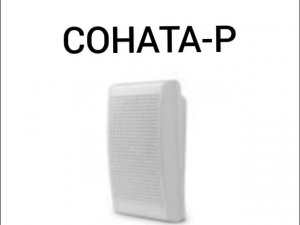 пожарные речевые оповещения