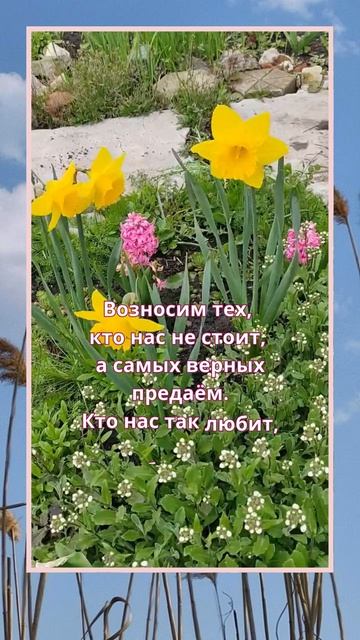 Берегите близких! смотреть онлайн