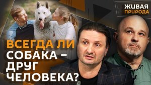 Эдгард Запашный. Маленькие собаки и опасность очеловечивания домашних питомцев