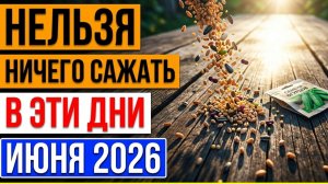Лунный календарь огородника Когда сажать томаты, огурцы, капусту и морковь в июне 2026 года.