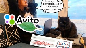 Как настроить цена просмотра на Авито вручную и автоматически (биддер)