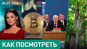 За что Лукашенко критикует ЕАЭС/ Пашинян хитрит?/ легальная крипта/ работа и зуммеры/ День дуба