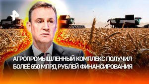 Патрушев: агропромышленный комплекс получил свыше 650 млрд рублей в 2025 году