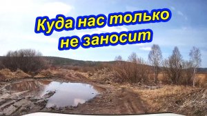 КУДА НАС НА НИВЕ ТОЛЬКО НЕ ЗАНОСИТ