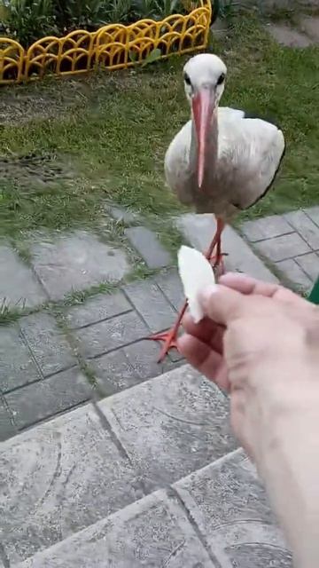 1000013404.mp4