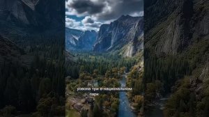 Куда исчезли древние деревья.