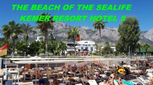 ПЛЯЖ ОТЕЛЯ SEALIFE KEMER RESORT HOTEL 5* TURKEY 2026 ПЕРВАЯ ЛИНИЯ все включено красивый вид на горы
