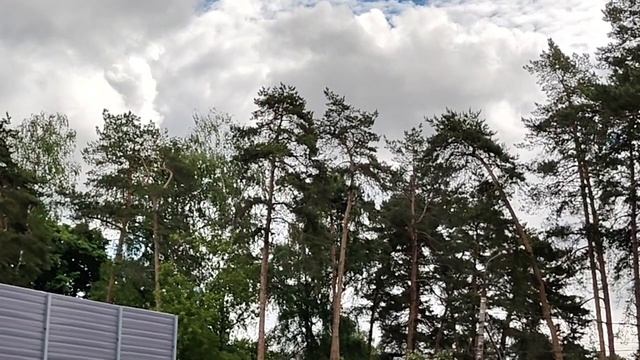 ЗРИТЕЛИ РЕВНУЮТ СВОИХ БЛОГЕРОВ МОЯ ТЕОРИЯ смотреть онлайн