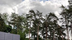 ЗРИТЕЛИ РЕВНУЮТ СВОИХ БЛОГЕРОВ МОЯ ТЕОРИЯ