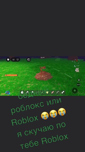 бедный ROBLOX