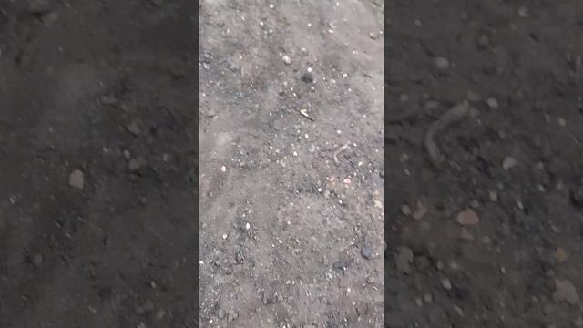 мрачная судьба 2