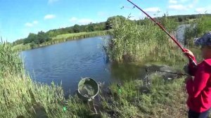 Ловля Крупного КАРАСЯ на Горох