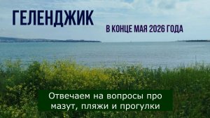 Геленджик в конце мая 2026 года, отвечаем на вопросы про мазут и пляжи