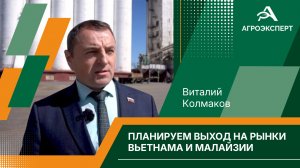 Как в Омске проверяют качество зерна