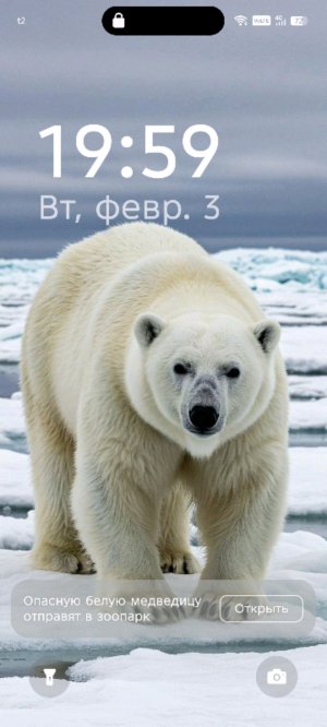 Чихуахуа
