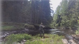 Любительская рыбалка на заросшей реке. Прогулка
