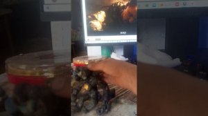 izoleut 2 сезон 13 серия