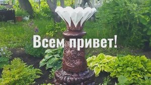Вот это я вазон забубенила! 5 лет как железобетонный!