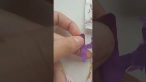 распаковка вещей для собак