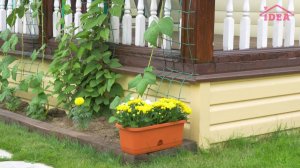 Балконный ящик с поддоном | idea-home.ru