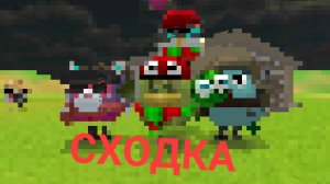 сходка