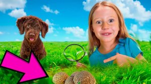 Nastya and Dad escape the maze and other funny stories for kids