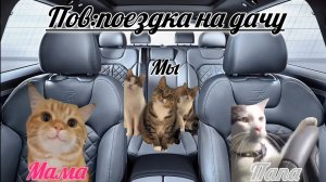 Пов:поездка на дачу #котывоители #котымем #футажи #дача