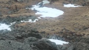 Монгулек (Мунхулик)  на праздники