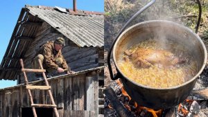 Поехали на избу! Ремонт крыши и вкусный суп из утки на костре