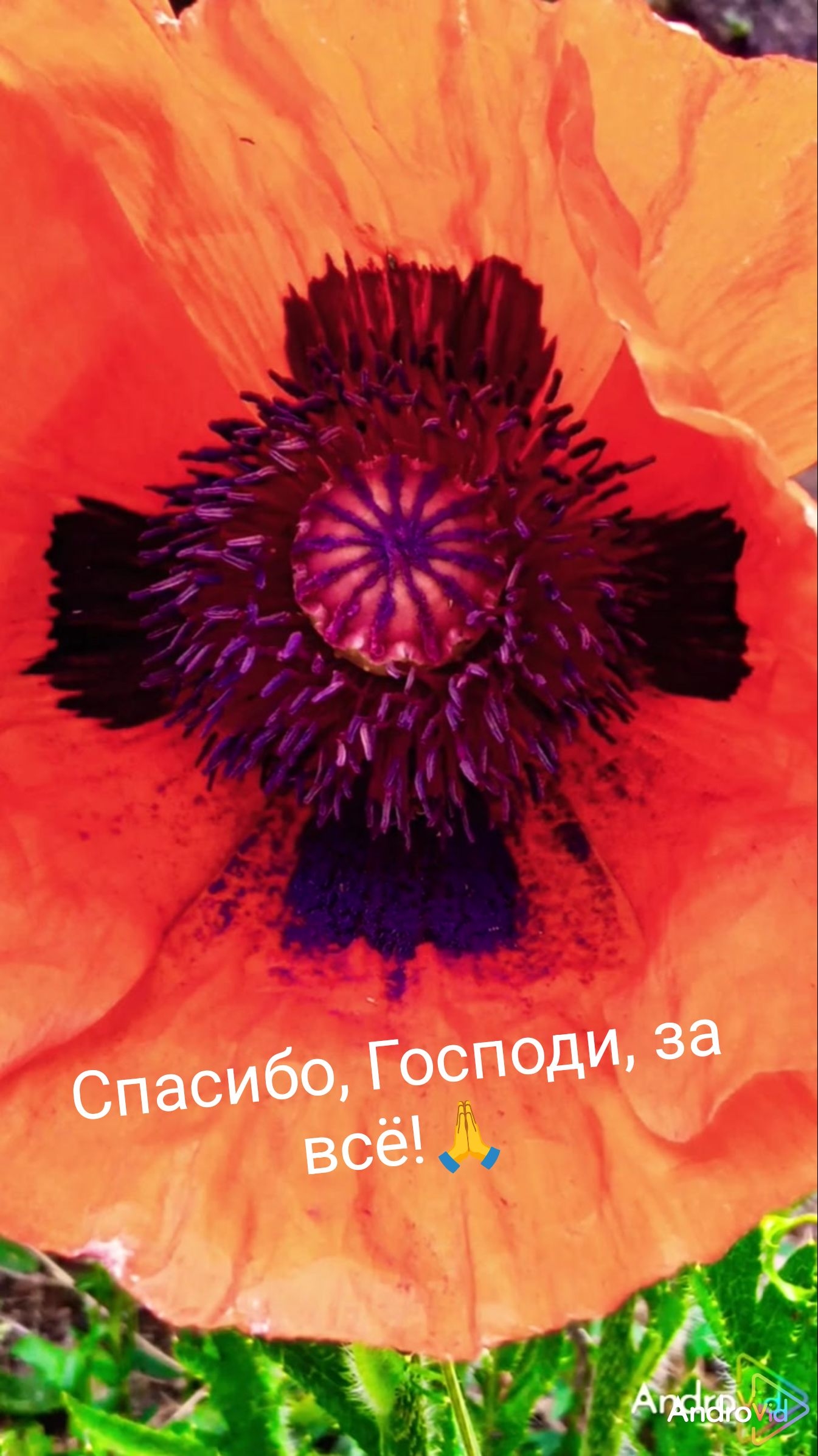 Спасибо, Господи, за всё! 🙏 30-05-2026