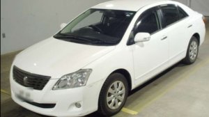 Premio ZRT265    61/4