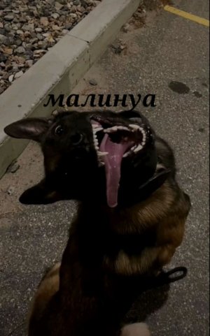 майнкрафт
