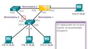 Принцип работы STP [get.gt]
