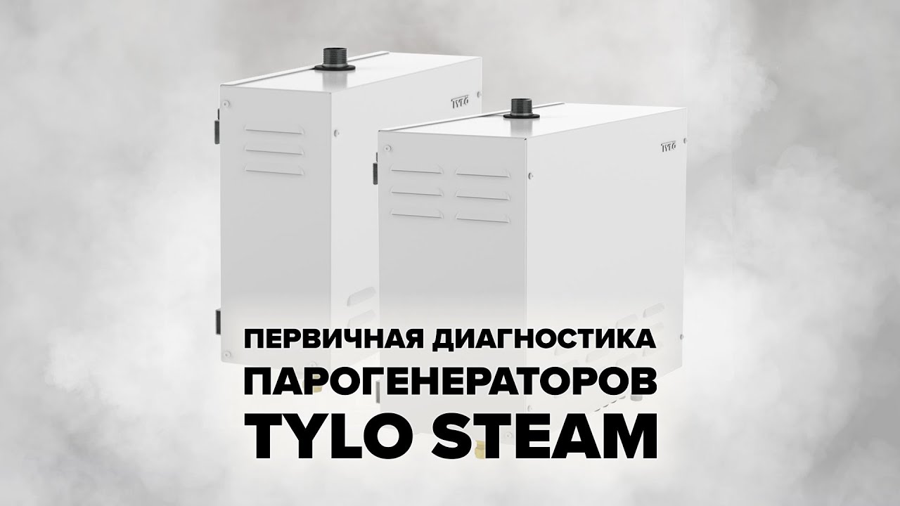 Первичная диагностика парогенераторов Tylo Steam