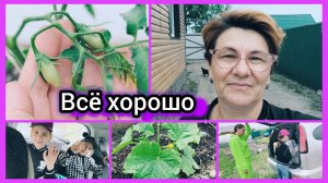 На крыльях! Переспала с этим 😎