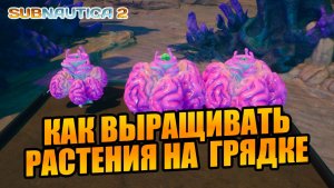 Как выращивать растения на ГРЯДКАХ в Subnautica 2