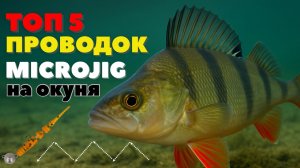 ТОП-5 ПРОВОДОК НА МИКРОДЖИГ, КАК ЛОВИТЬ НА MICROJIG | ОТ ЧЕМПИОНОВ МИРА