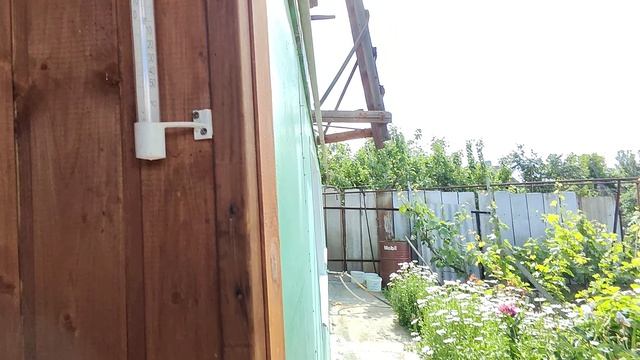 1000036689.mp4 смотреть онлайн