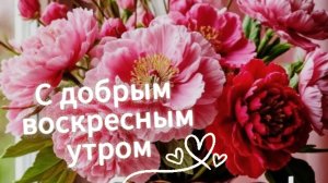 Красивые открытки с добрым воскресным утром – анимированное поздравление с музыкой.