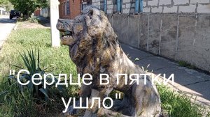 В Ейске циклон +17☔ Вспомнила «страшную картину». Пиджак. Вкусная рыбка. Лаваш с начинкой.
