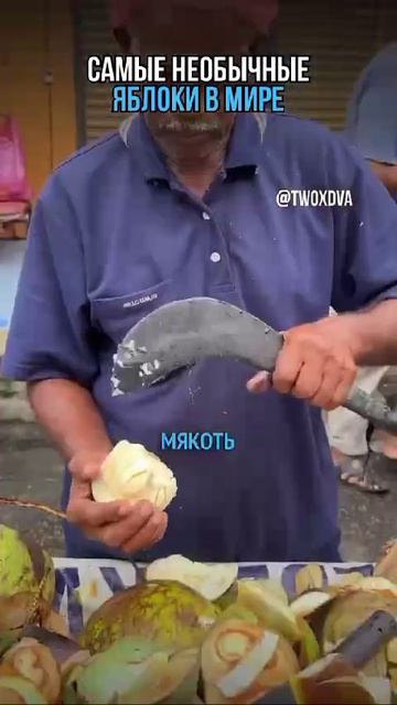 Необычные яблоки 🍏🍏🍏 смотреть онлайн