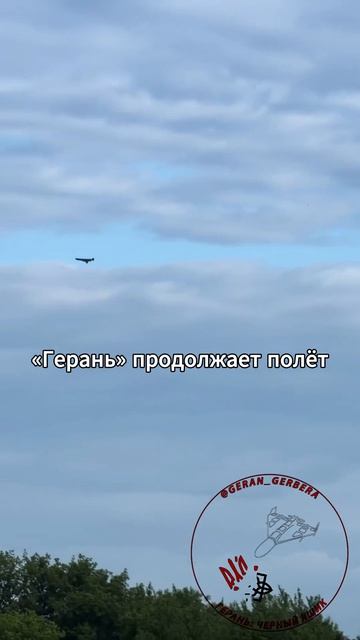 «Герань» уходит от FPV-перехватчика невредимой. смотреть онлайн