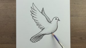 Как нарисовать птицу — пошаговое руководство о том, как легко нарисовать птицу