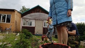 СТАРАЕМСЯ ПОРАБОТАТЬ МЕНЬШЕ, ПОСАДИЛА ЦВЕТЫ, ПРОПОЛКА.