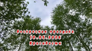 Воскресная прогулка 10.05.2026. Красивульки в Веризино
